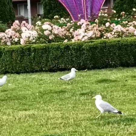 Ale Laba Appartamento *