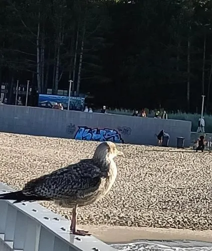 Appartamento Ale Laba *