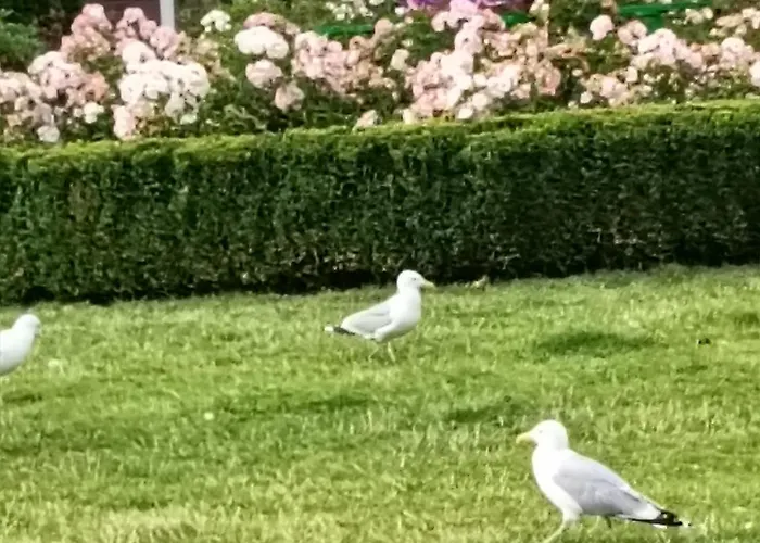 Ale Laba Appartamento *