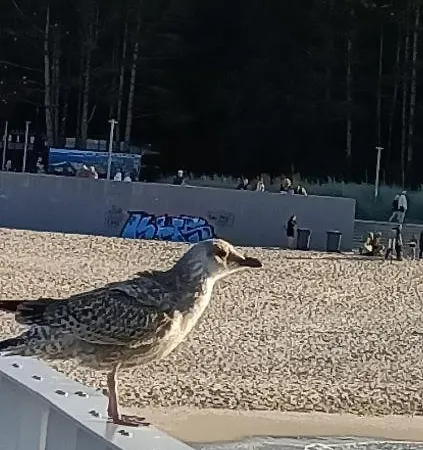 Ale Laba Lejlighed Kołobrzeg