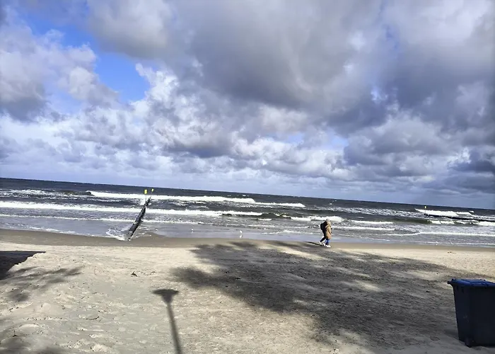 Ale Laba * קולובז'ג